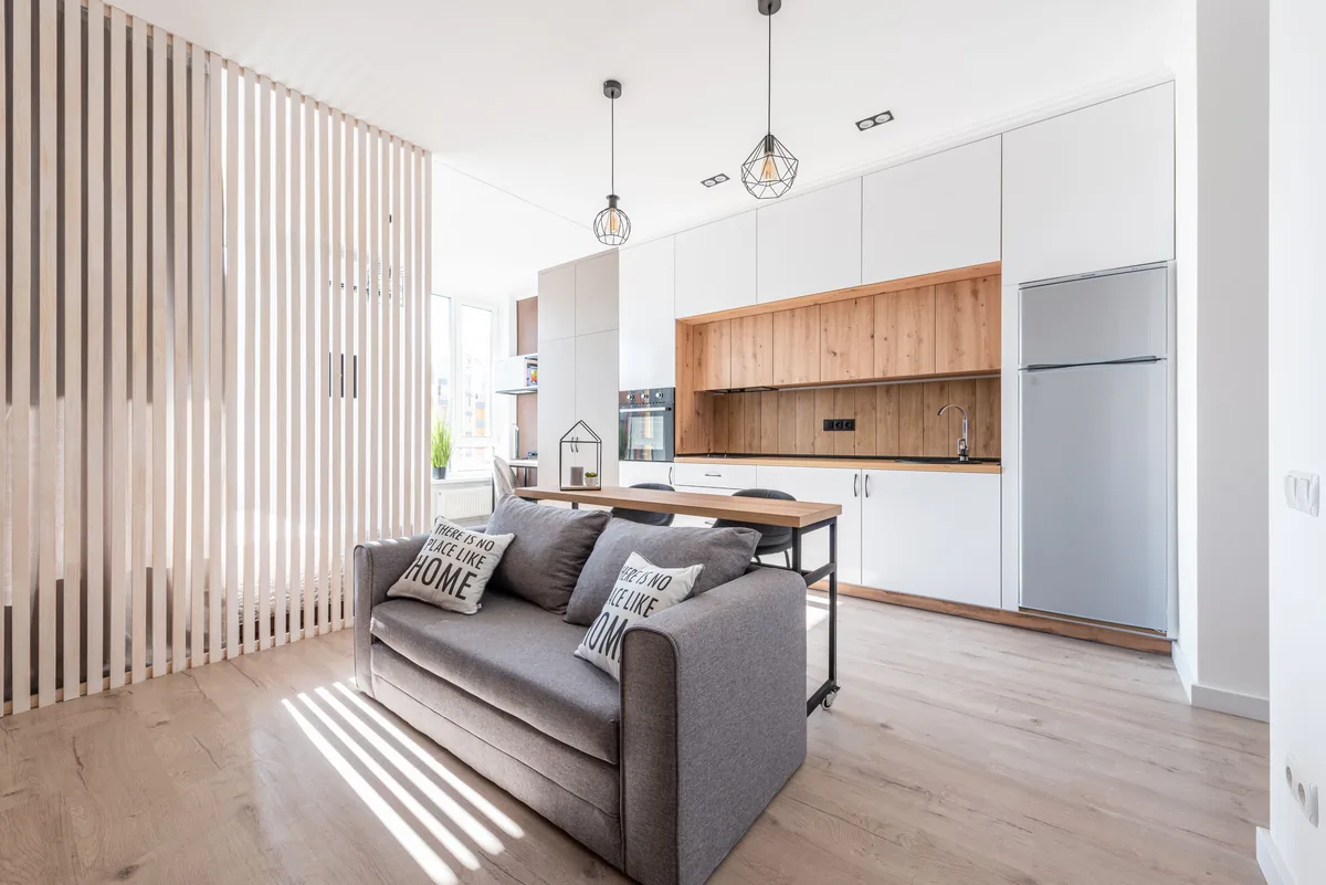 Living room with natural daylight