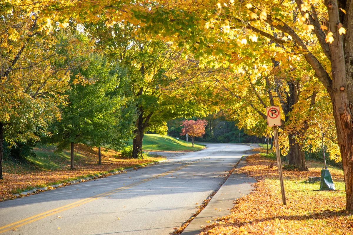 Airbnb Property Management in Beverly Hills, Michigan: 7 Companies Compared
