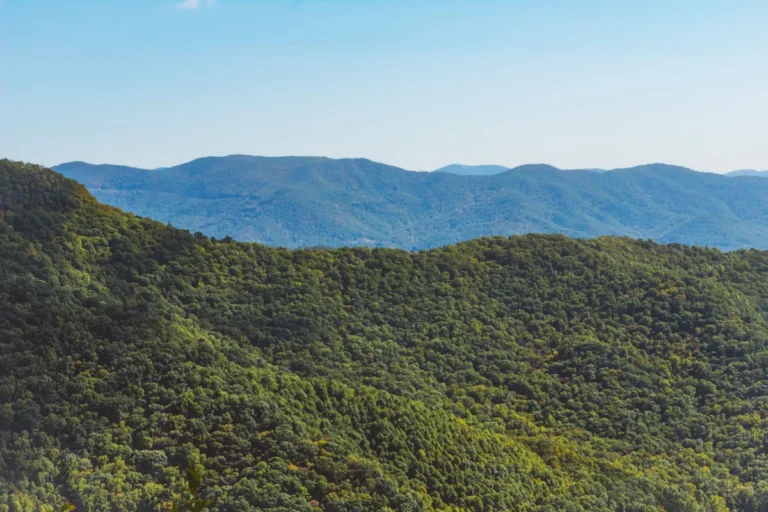Green wooded hills near Asheville