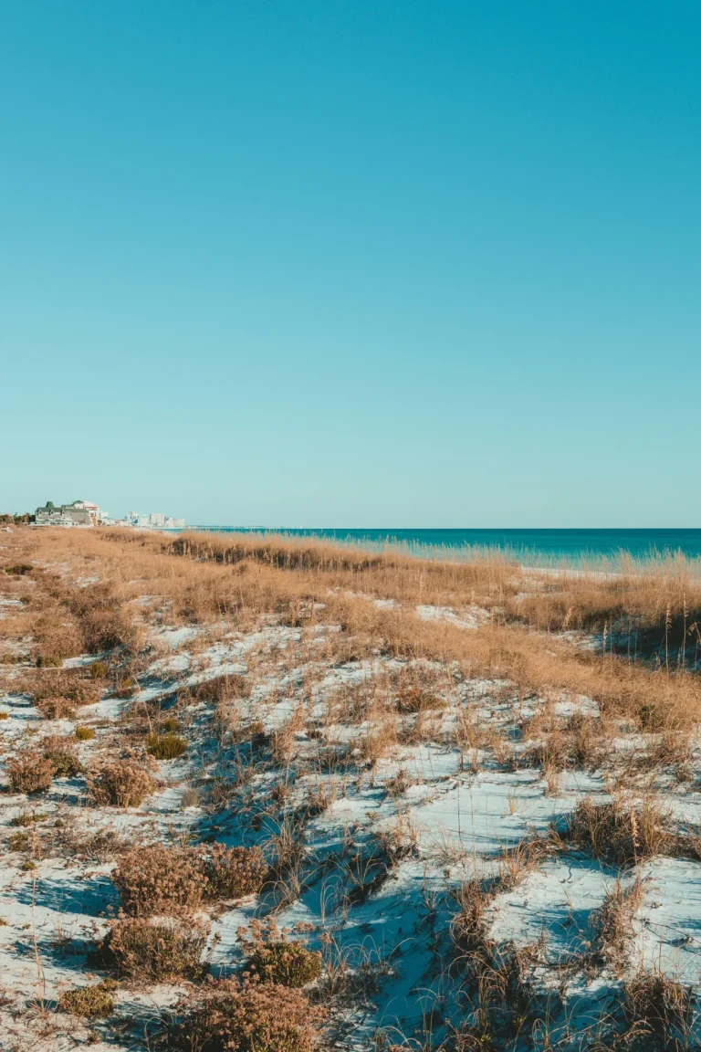 White sand dunes and coastal grasses at Henderson Beach State Park in Destin