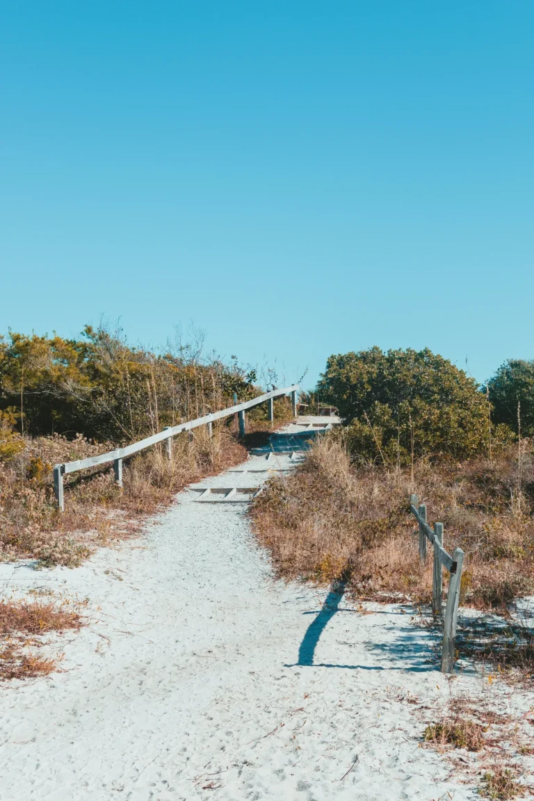 Sandy nature trail with wooden handrails at Henderson Beach State Park in Destin