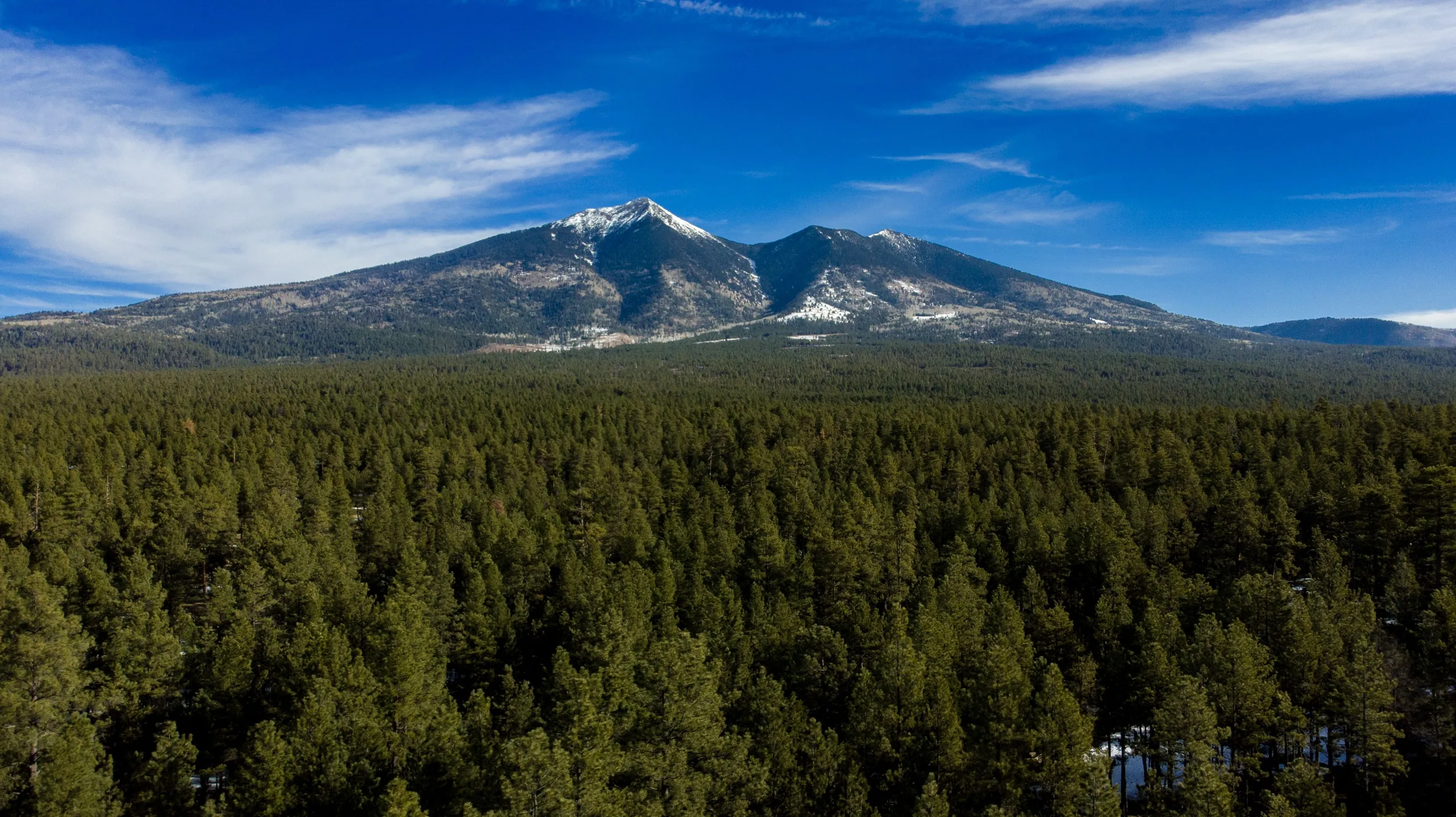 San Francisco Peaks above the pine forest in Flagstaff, Arizona