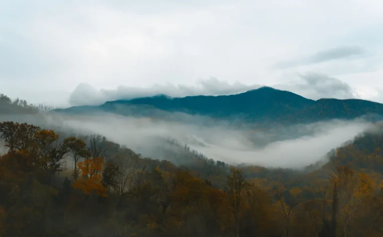 Low clouds over autumn forest and mountain ridges