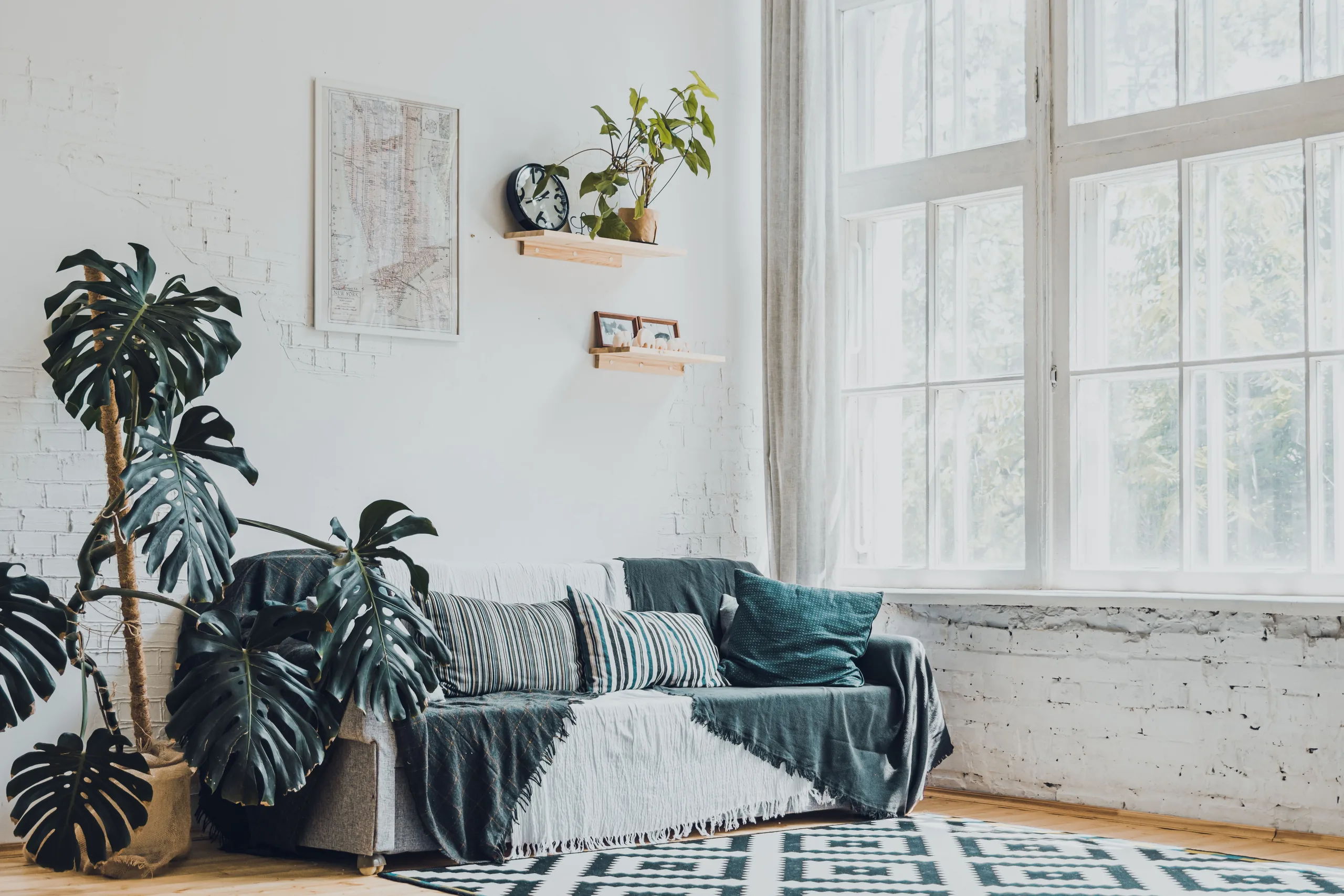 Bright living room with a sofa, plants and tall windows