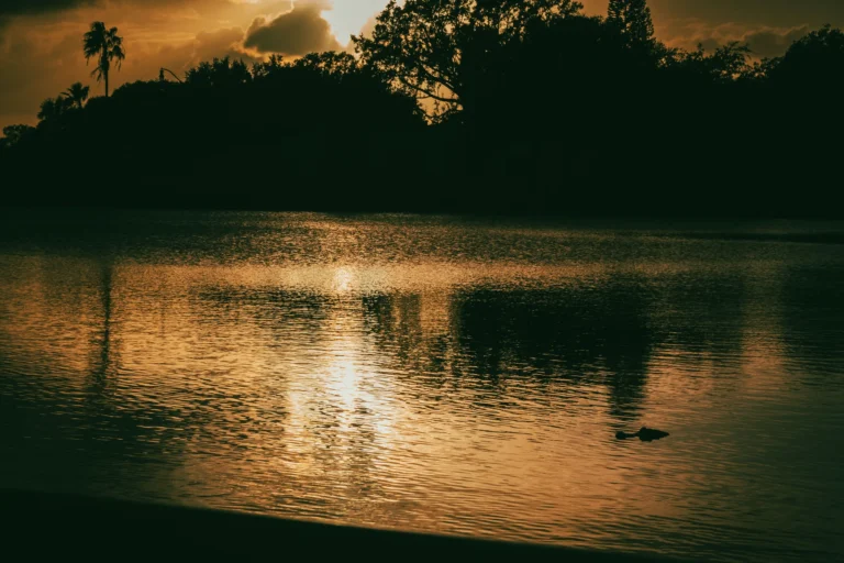 Kissimmee, FL