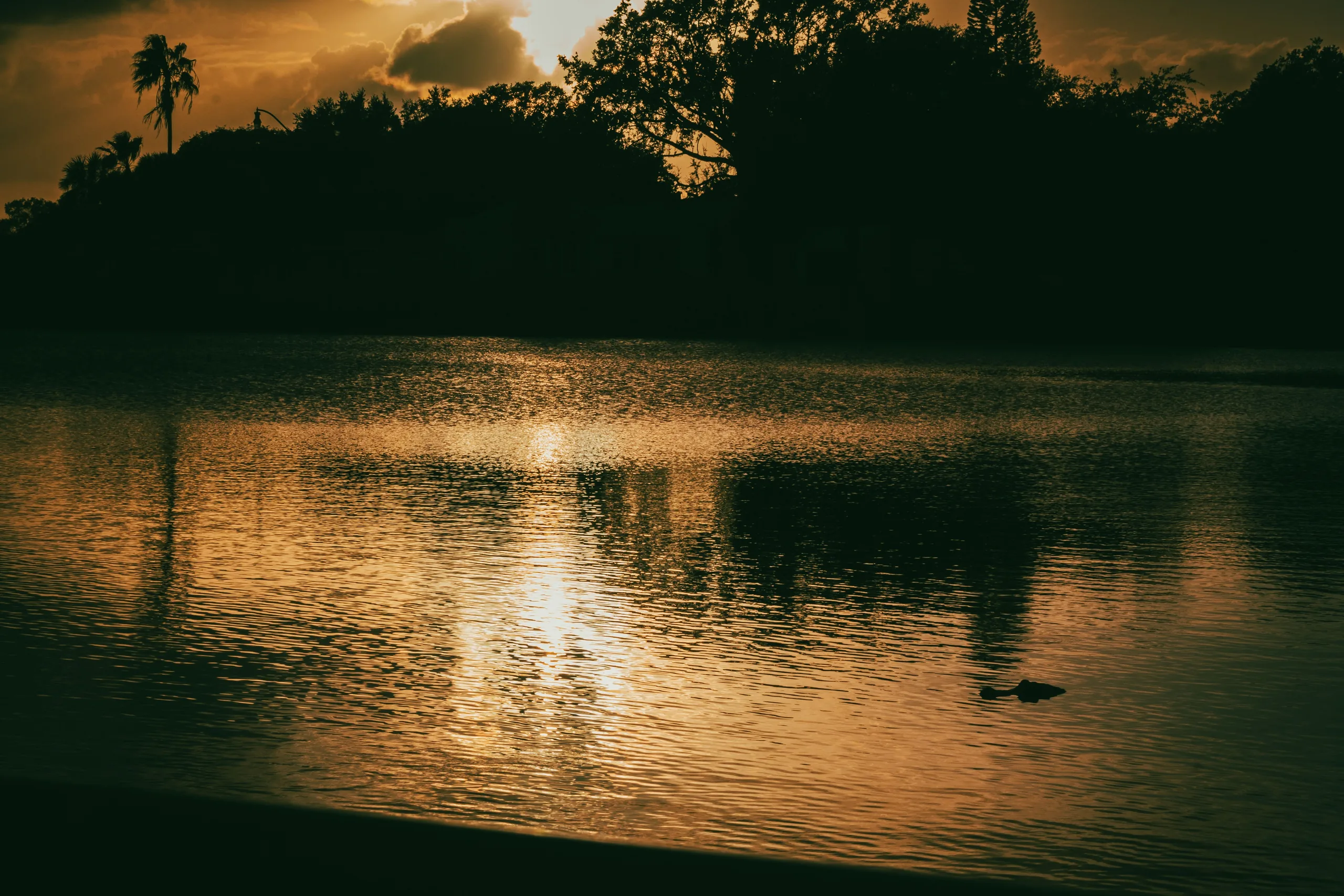 Sunset over a lake in Kissimmee, Florida