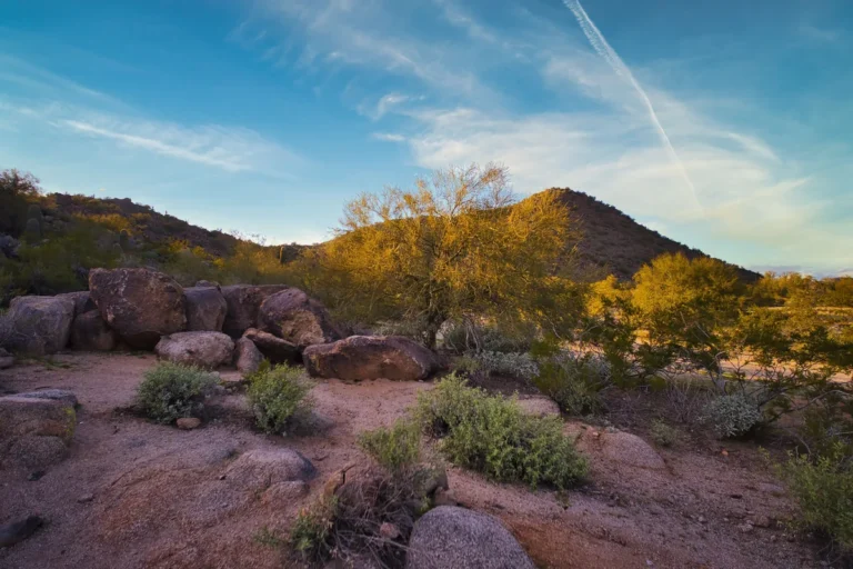Rocky desert hills and vegetation in Phoenix