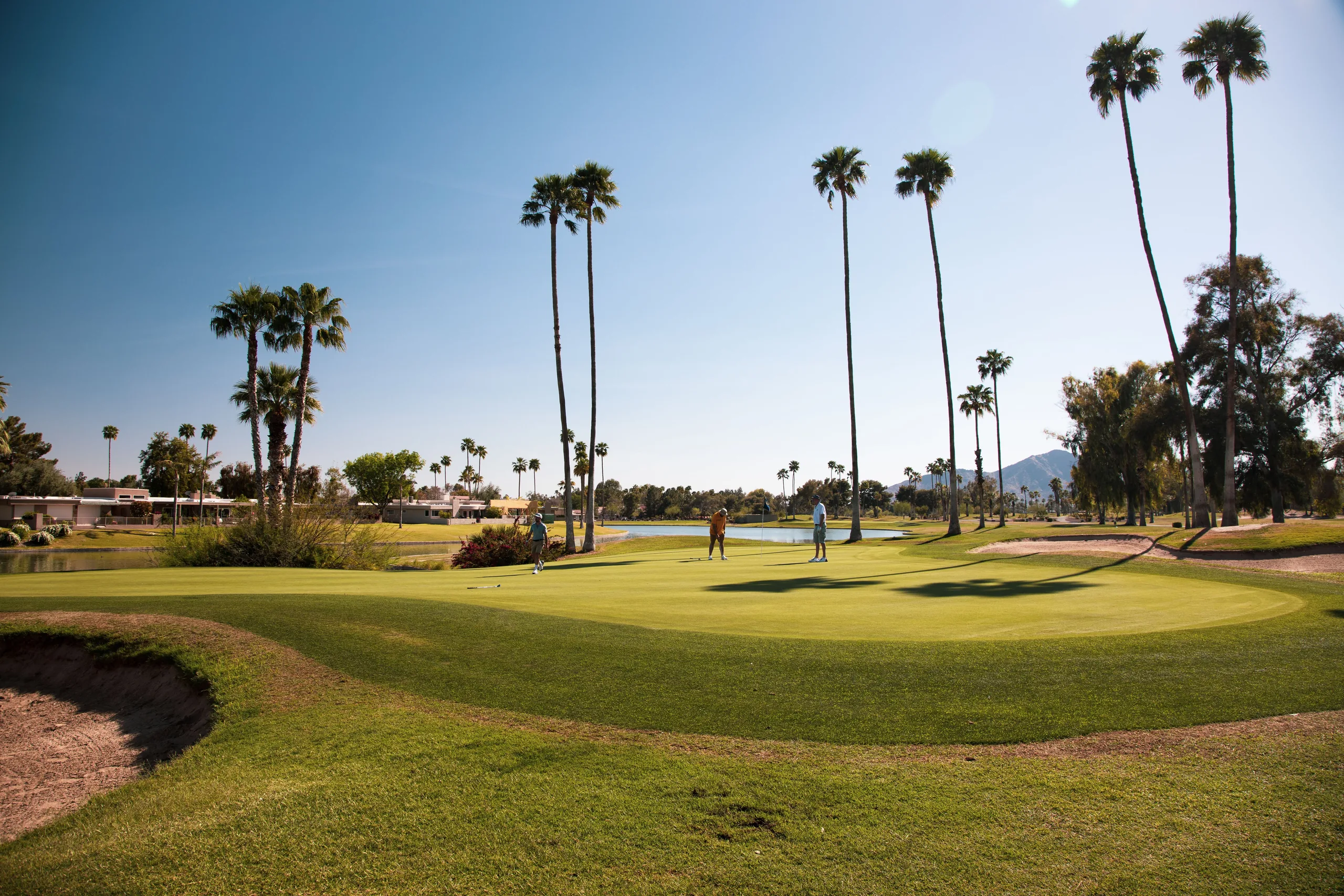 Golf course with palm trees and desert mountains in Scottsdale, Arizona