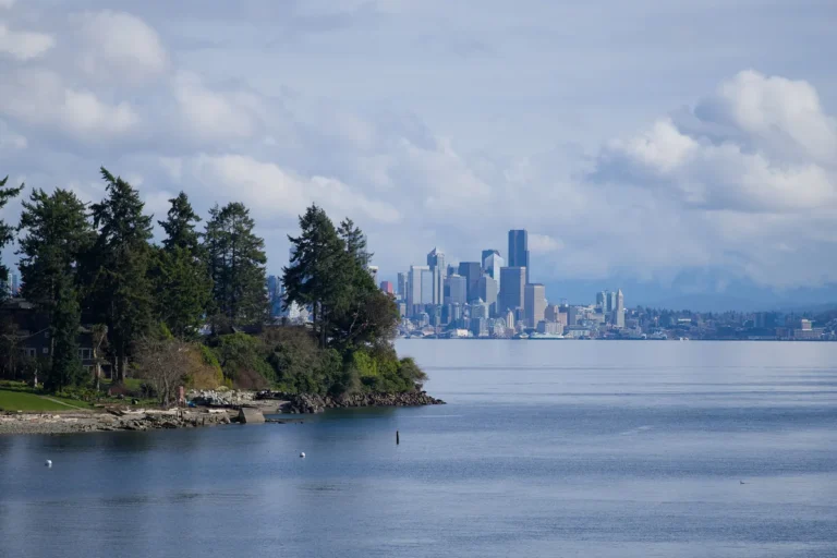 Seattle skyline across the water with evergreens in the foreground
