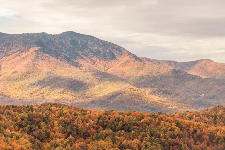 Sevierville, TN