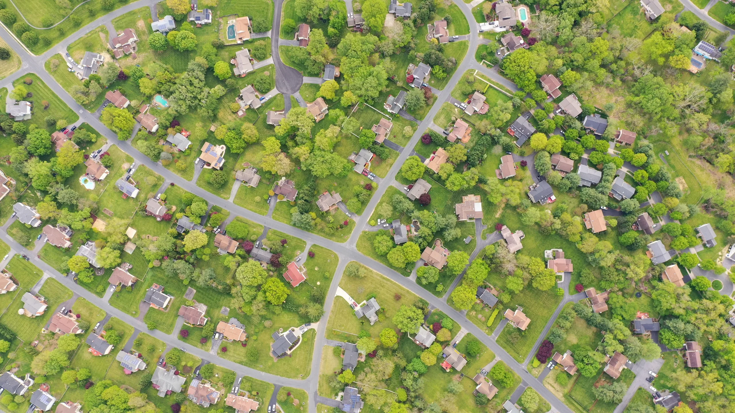 Leafy Silver Spring neighborhood viewed from above