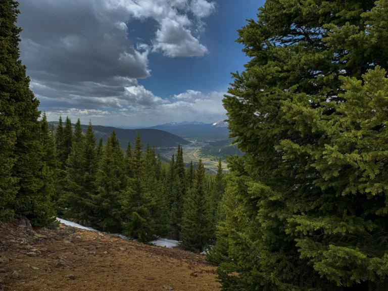 Forest-lined overlook toward the Breckenridge valley and distant mountains